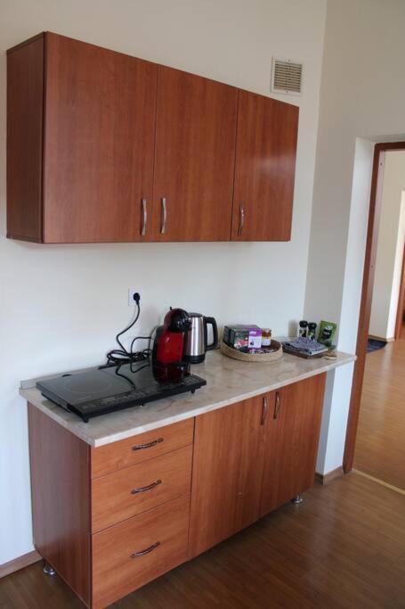 The Oasis By Downtown Apartments Târgu-Mureş Buitenkant foto