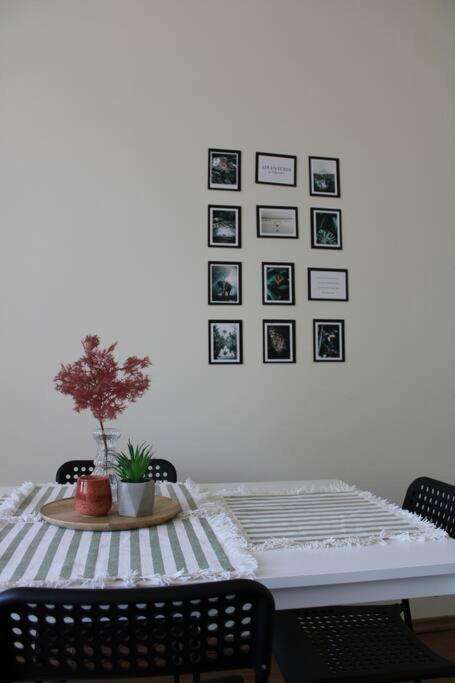 The Oasis By Downtown Apartments Târgu-Mureş Buitenkant foto