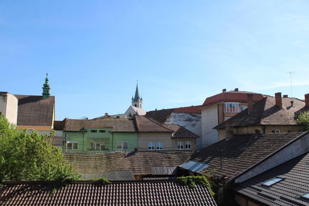 The Oasis By Downtown Apartments Târgu-Mureş Buitenkant foto