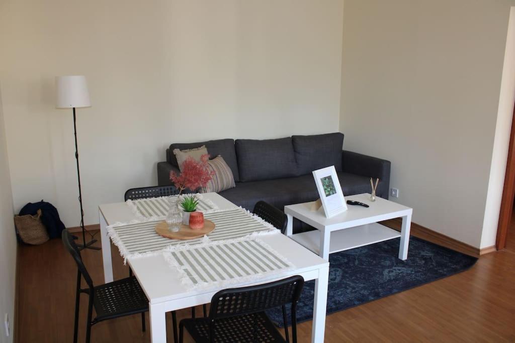 The Oasis By Downtown Apartments Târgu-Mureş Buitenkant foto