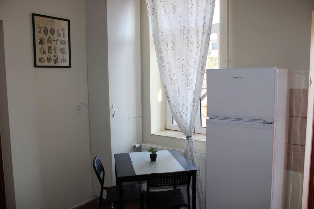 The Oasis By Downtown Apartments Târgu-Mureş Buitenkant foto